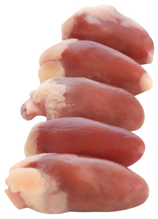 Chicken heart fresh organic and isolatedの写真素材
