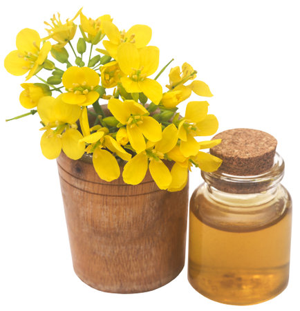 Closeup of mustard flowers with oil in a bottleの写真素材