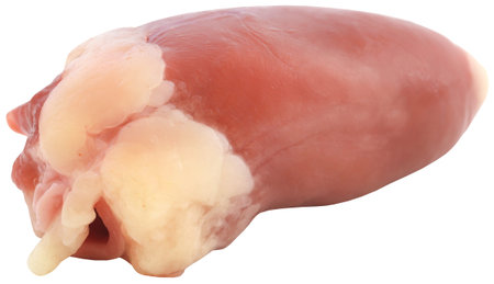 Chicken heart fresh organic and isolated