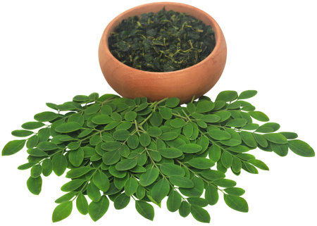 Moringa leaves fresh and crushed in a bowlの写真素材