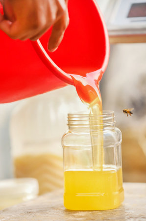Freshly harvested honey in a jarの写真素材