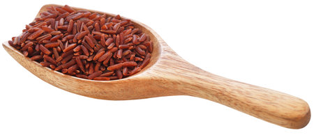 Organic red Jasmine rice, a very nutritious foodの写真素材