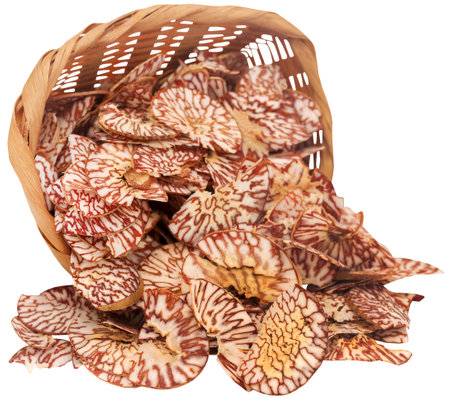 Sliced betel nut spilled from a basketの写真素材