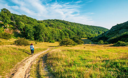 Panoramic hillie path around Hammershus Ruins Castle in Bornholm, Denmarkの写真素材