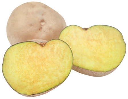 Dioscorea bulbifera or Air potato fresh and organicの写真素材