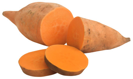 Yam or Sweet potato fresh and organicの写真素材