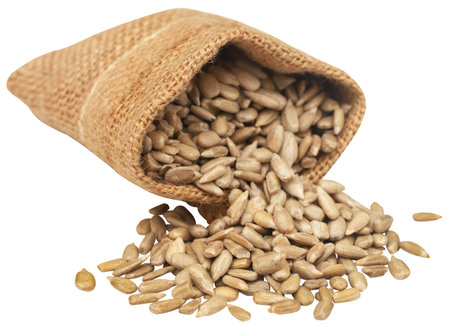 Sunflower seed having many nutritious valuesの写真素材