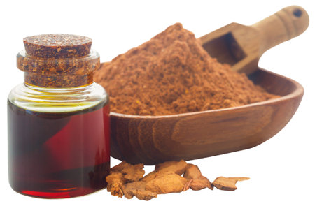 Alpinia galanga or Aromatic ginger with extract oil in a jarの写真素材