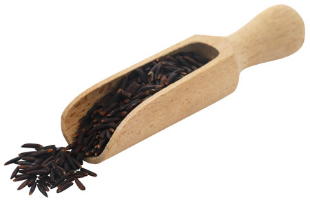 Black Jasmine rice having full of nutritious valueの写真素材