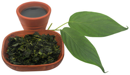 Paederia foetida or medicinal gondho badali of Indian subcontinentの写真素材