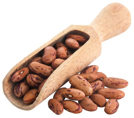 Pinto bean or speckled bean closeup in a wooden scoopの写真素材