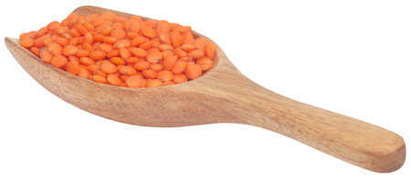 Some fresh red lentil in a wooden spoonの写真素材