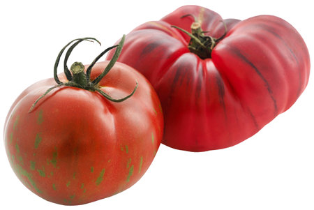 Black Russian Tomato fresh and organicの写真素材