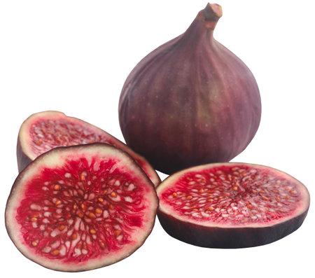 Fresh organic common fig sliced and wholeの写真素材