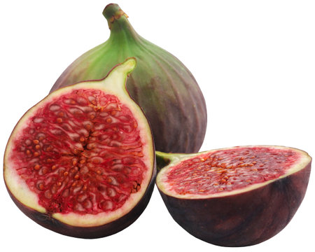 Fresh organic common fig sliced and wholeの写真素材