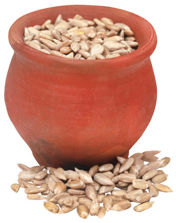 Sunflower seed having many nutritious valuesの写真素材