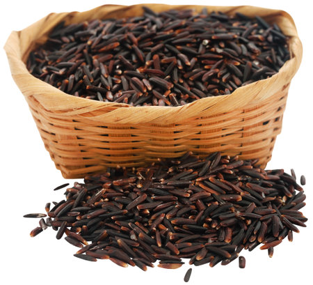 Black Jasmine rice having full of nutritionの写真素材