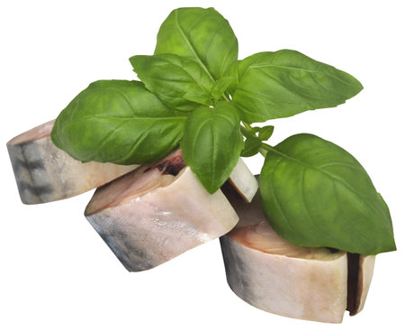 Atlantic mackerel with fresh basil leavesの写真素材