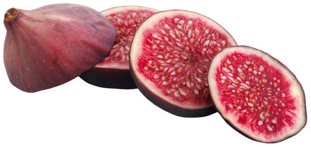 Fresh organic common fig sliced and wholeの写真素材