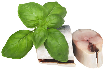 Atlantic mackerel pieces with fresh basil leavesの写真素材
