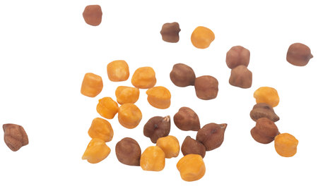 chickpeas fresh and organic closeup isolatedの写真素材