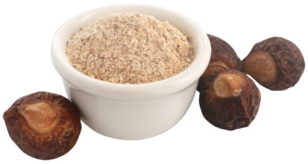 Aritha or Sapindus mukorossi with powder with wholeの写真素材
