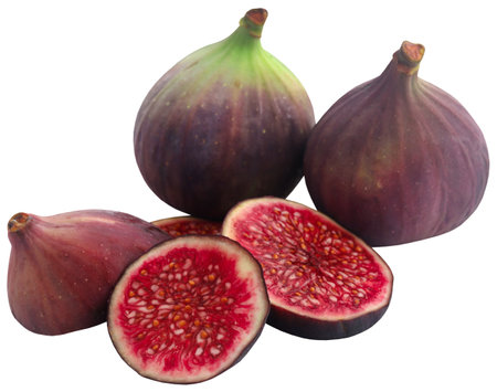 Fresh organic common fig sliced and wholeの写真素材