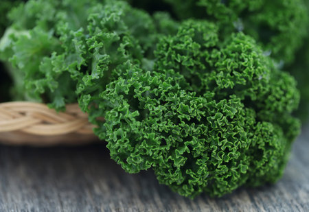 Kale or leaf cabbage fresh and organicの写真素材