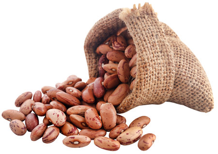 Pinto bean or speckled bean closeup and isolatedの写真素材