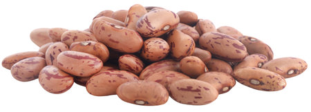 Pinto bean or speckled bean closeup and isolatedの写真素材