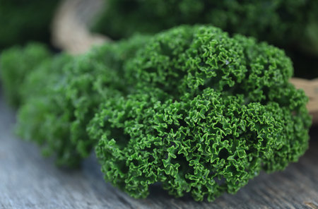 Kale or leaf cabbage fresh and organicの写真素材