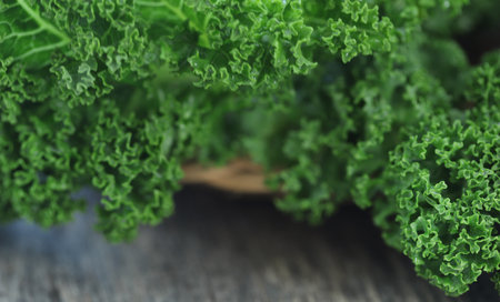 Kale or leaf cabbage fresh and organicの写真素材