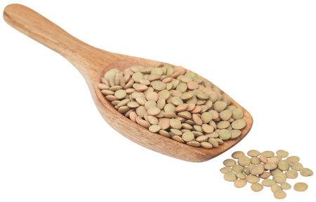 Green lentils fresh organic and isolatedの写真素材