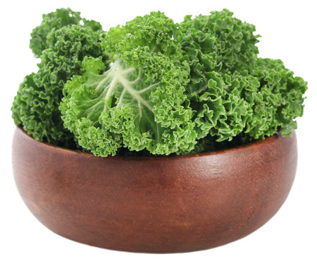 Kale or leaf cabbage fresh and organicの写真素材