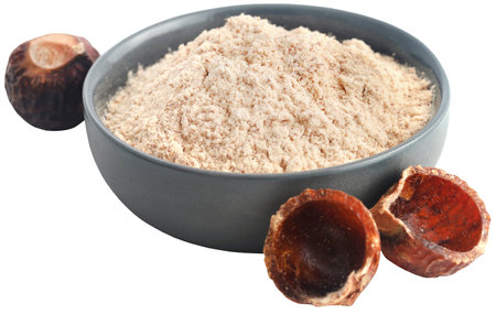 Sapindus mukorossi with powder in a bowlの写真素材