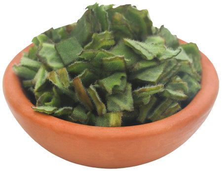 Oregano leaves whole and pieces in a bowlの写真素材