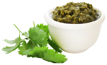 Pesto in a bowl made of fresh Coriander leavesの写真素材
