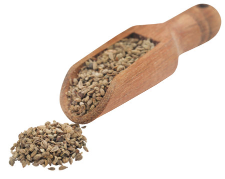 Radhuni known as wild celery in English used as spiceの写真素材