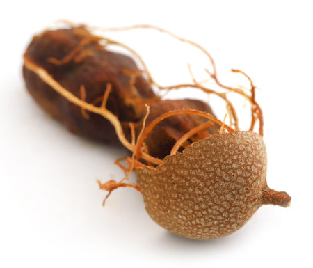 Sweet tamarind whole fresh and organicの写真素材