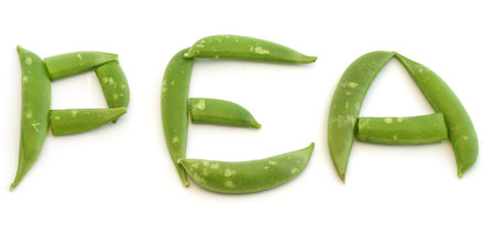 PEA written by fresh Sweet pea beansの写真素材