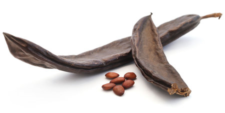 Carob fruit of Mediterranean areaの写真素材