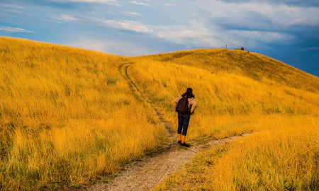 Herstedhoje Nature Center in Albertslund of Denmarkの写真素材