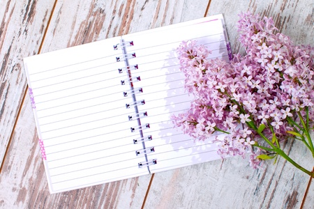 Open blank notebook ready to write    の写真素材