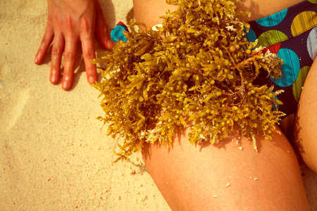 BIKINIの写真素材