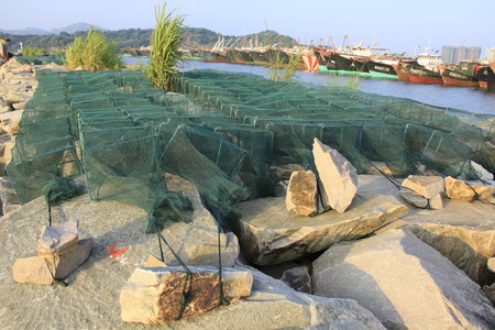 seasideの写真素材