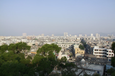 buildings and trees in the cityの写真素材