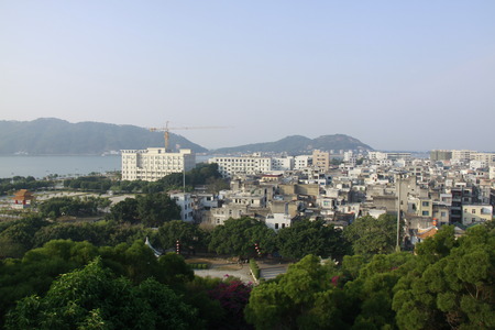buildings and trees in the cityの写真素材