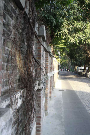 Asian wallの写真素材