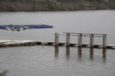 Reservoirの写真素材