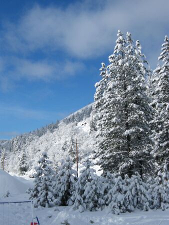 winter sceneの写真素材